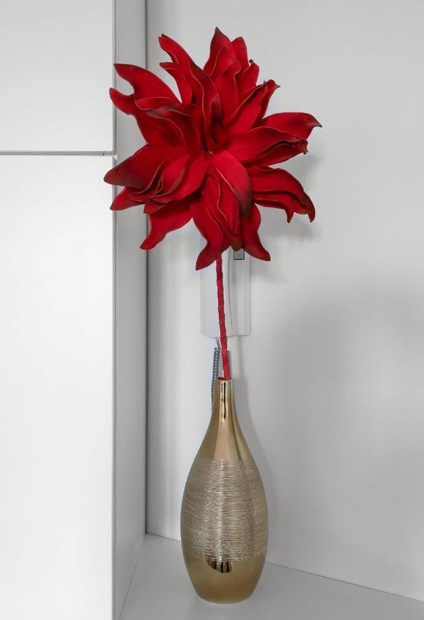Appartement Design La Petite Europe - Ideal Curistes Vichy Esterno foto
